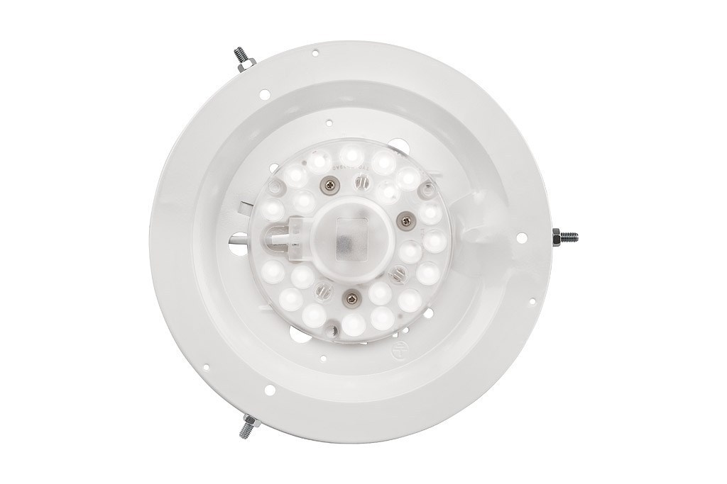 EVELINA plafon LED 12W drewniany 28 cm bielona sosna EVELINA plafon LED 12W drewniany 28 cm bielona sosna