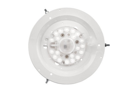 EVELINA plafon LED 12W drewniany 28 cm bielona sosna EVELINA plafon LED 12W drewniany 28 cm bielona sosna