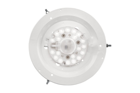LED PLAFON 12W 1200lm 3000K DREWNIANY DĘBOWY KOŁO EVELINA 28 CM DĄB LED PLAFON 12W 1200lm 3000K DREWNIANY DĘBOWY KOŁO EVELINA 28 CM DĄB