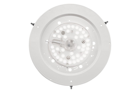 EVELINA plafon LED 20W drewniany 38 cm sosna EVELINA plafon LED 20W drewniany 38 cm sosna